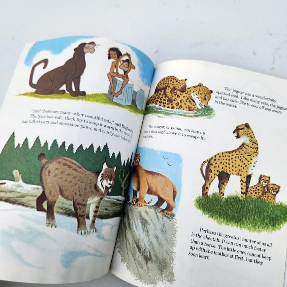 Disney vintage book